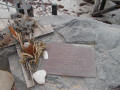 Shark attack memorial at Port le Hunt.