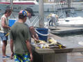 Bermagui
fishermen
