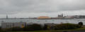 Woodchip pile in Portland, Vic,