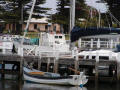 Sailboat Port Fairy, Vic,
